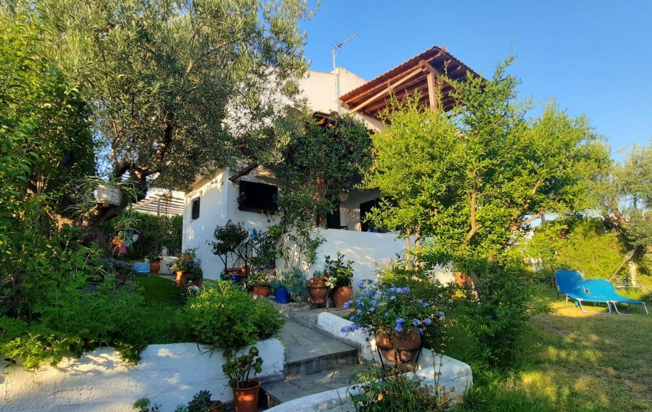 Sonia'S House With Garden Villa Gerakini Dış mekan fotoğraf