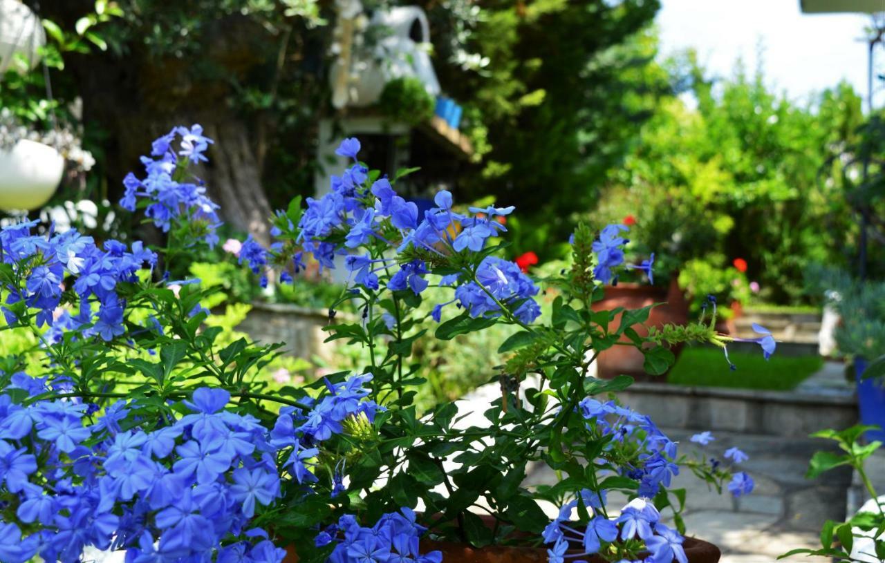 Sonia'S House With Garden Villa Gerakini Dış mekan fotoğraf