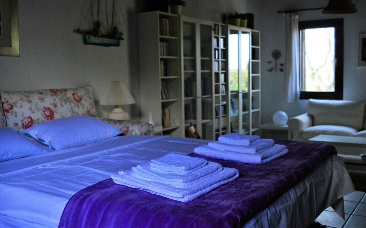 Sonia'S House With Garden Villa Gerakini Dış mekan fotoğraf